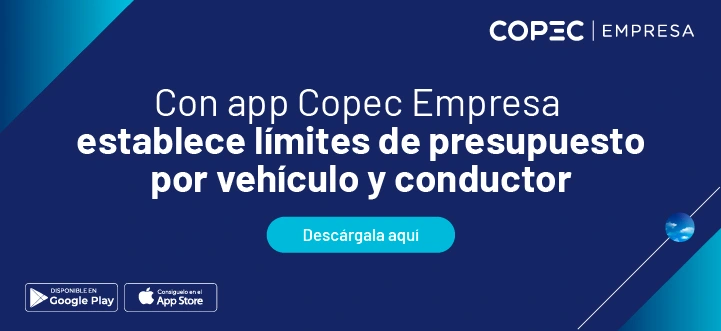 Límites y presupuestos